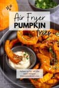 Air Fryer Pumpkin Fries