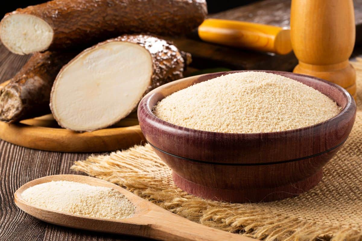 cassava flour in a bowl with cassava plant in the back.