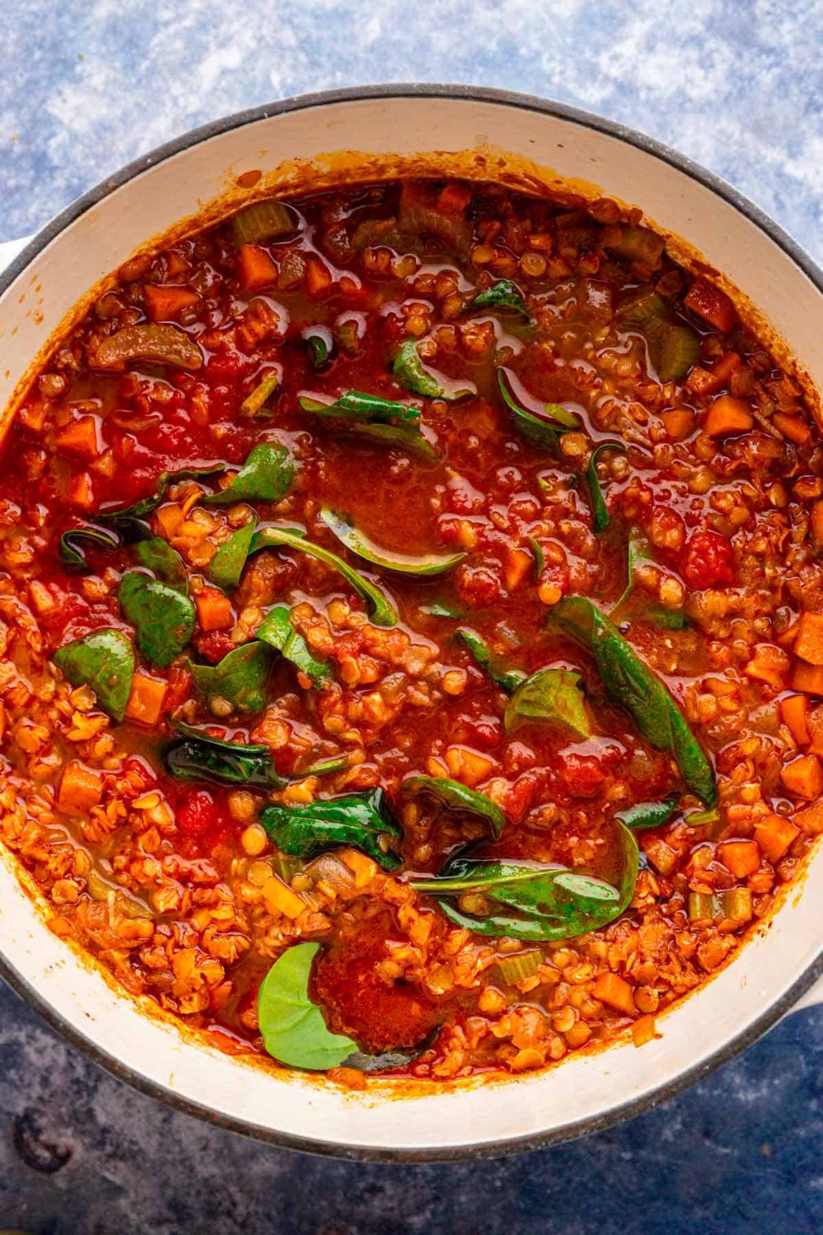 freshly cooked red lentil soup.