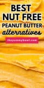 peanut butter alternatives poster image.