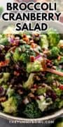 broccoli cranberry salad with sunflower seeds.