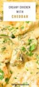 Delicious Creamy Chicken in Rich and flavorful cheddar sauce #chicken #cheddar #creamychicken #sauce #creamy - The Yummy Bowl