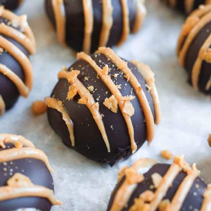 Chocolate peanut butter cookies