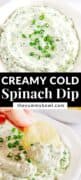 cold spinach dip pinterest