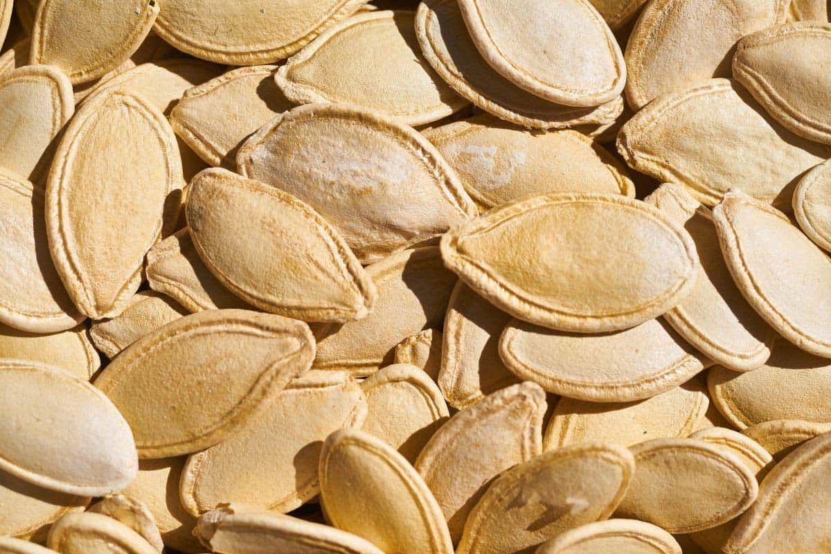 dried pumpkin seeds.