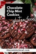 Gluten Free Chocolate Chip Cookies With Peppermint