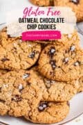 gluten free oatmeal cookies with chocolate chips