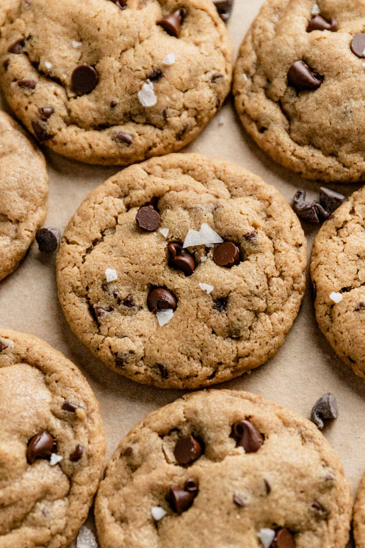 chewy mini chocolate chip cookies