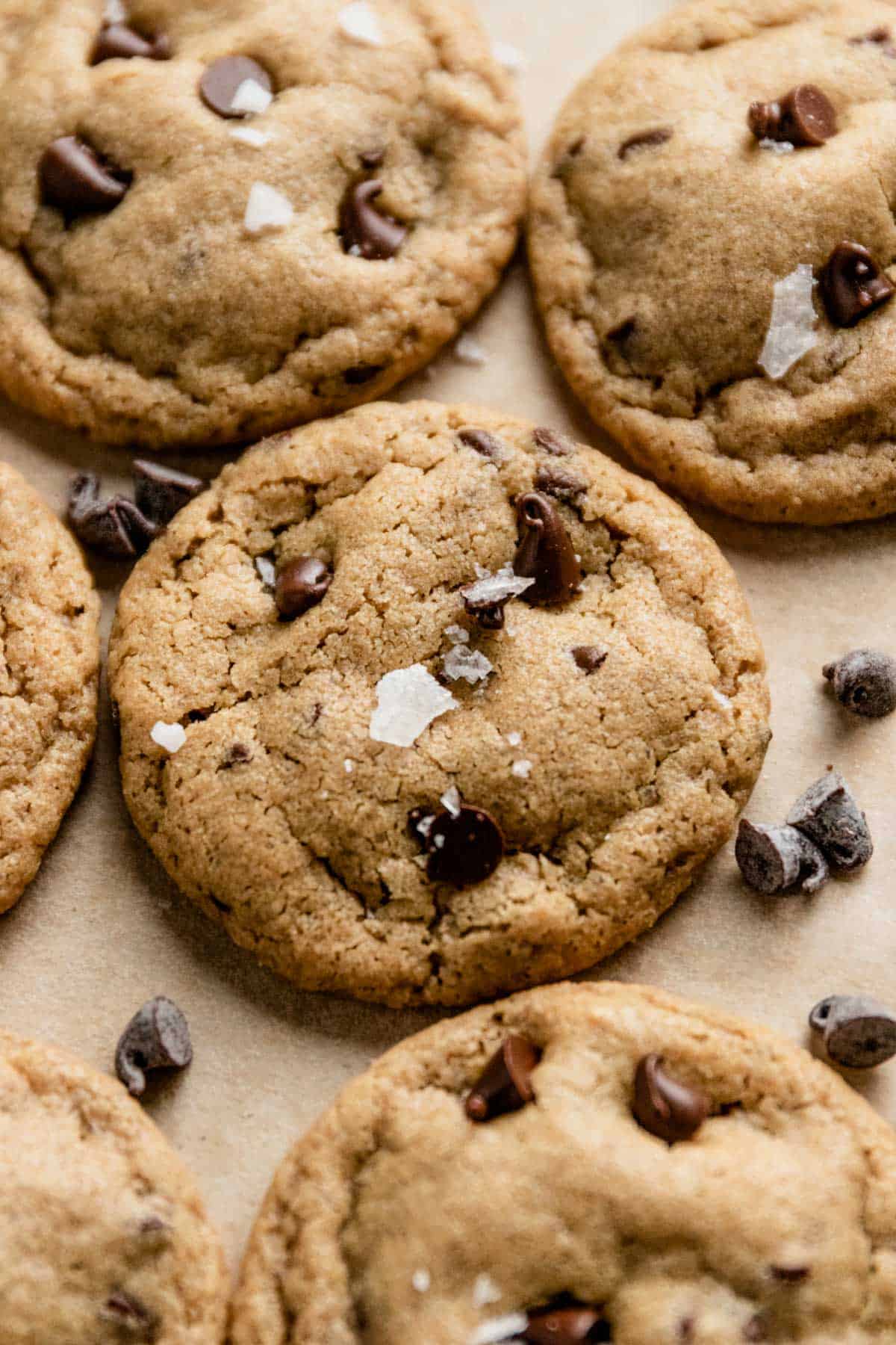 chewy mini chocolate chip cookies