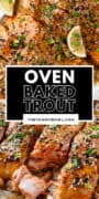 Baked Trout In Honey Mustard and Soy Sauce Glaze