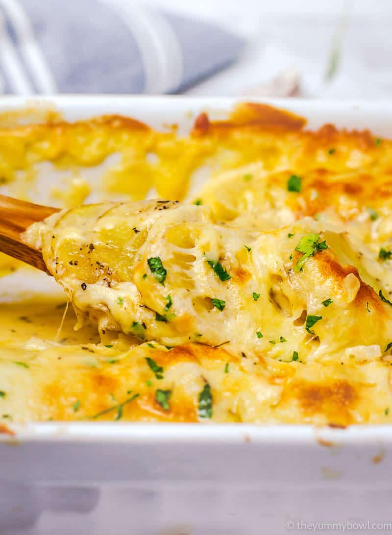 cheesy and creamy potato au gratin in a white rectangular baking dish