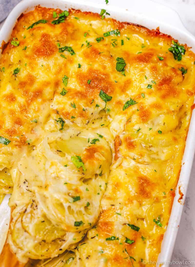 cheesy and creamy potato au gratin in a white rectangular baking dish