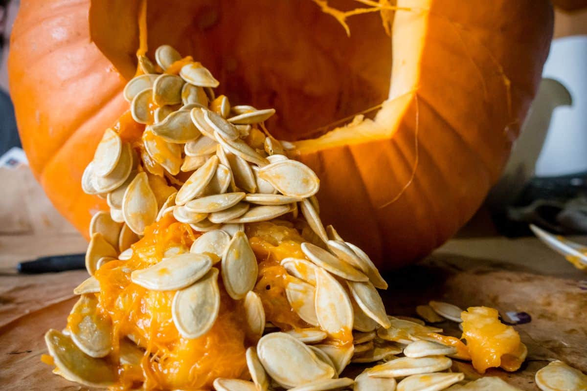 pumpkin seeds with pulp.