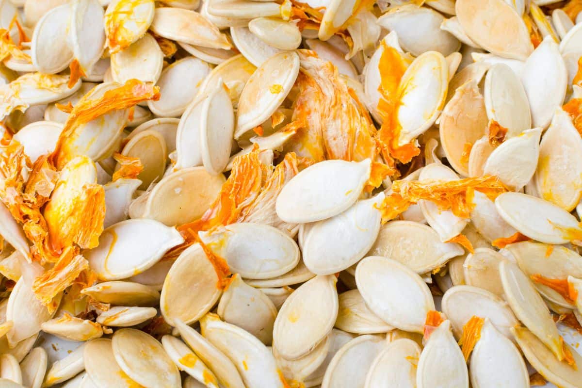 pumpkin seeds with pulp.