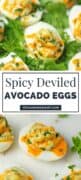 Deviled Avocado Eggs (Spicy)