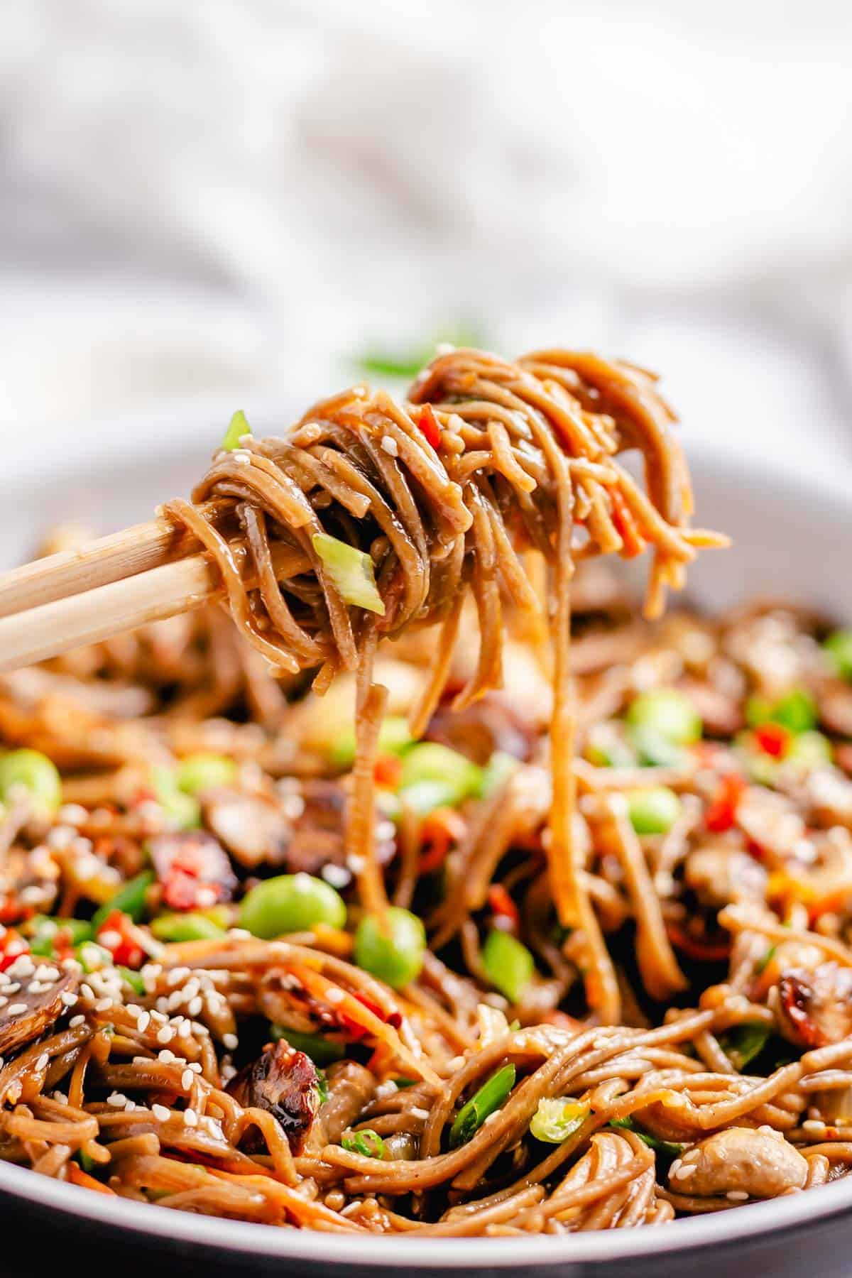 Soba Noodles stir fry close up shot on chopsticks