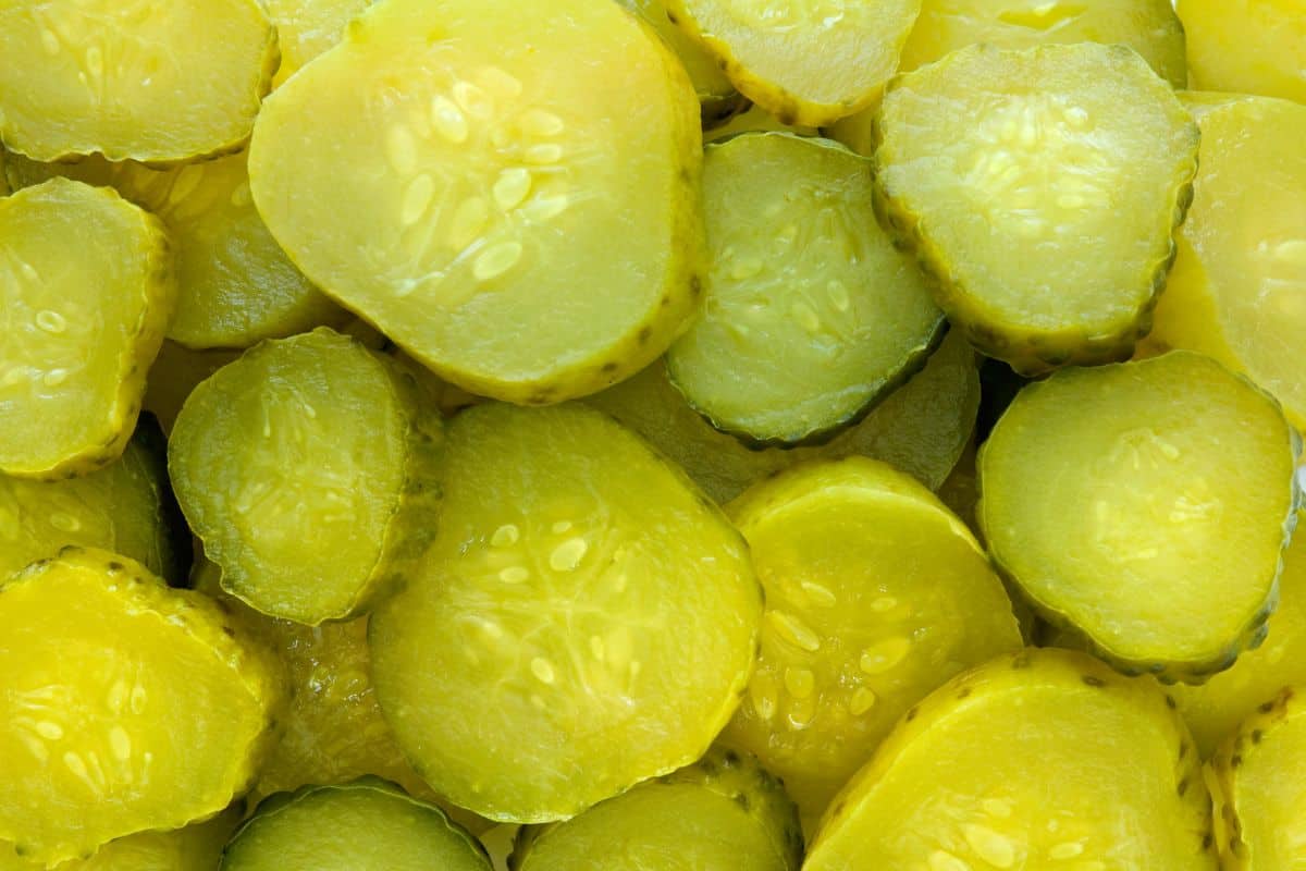 dill pickle slices