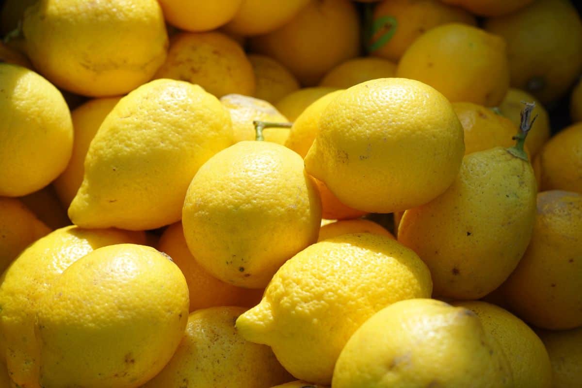 lemon